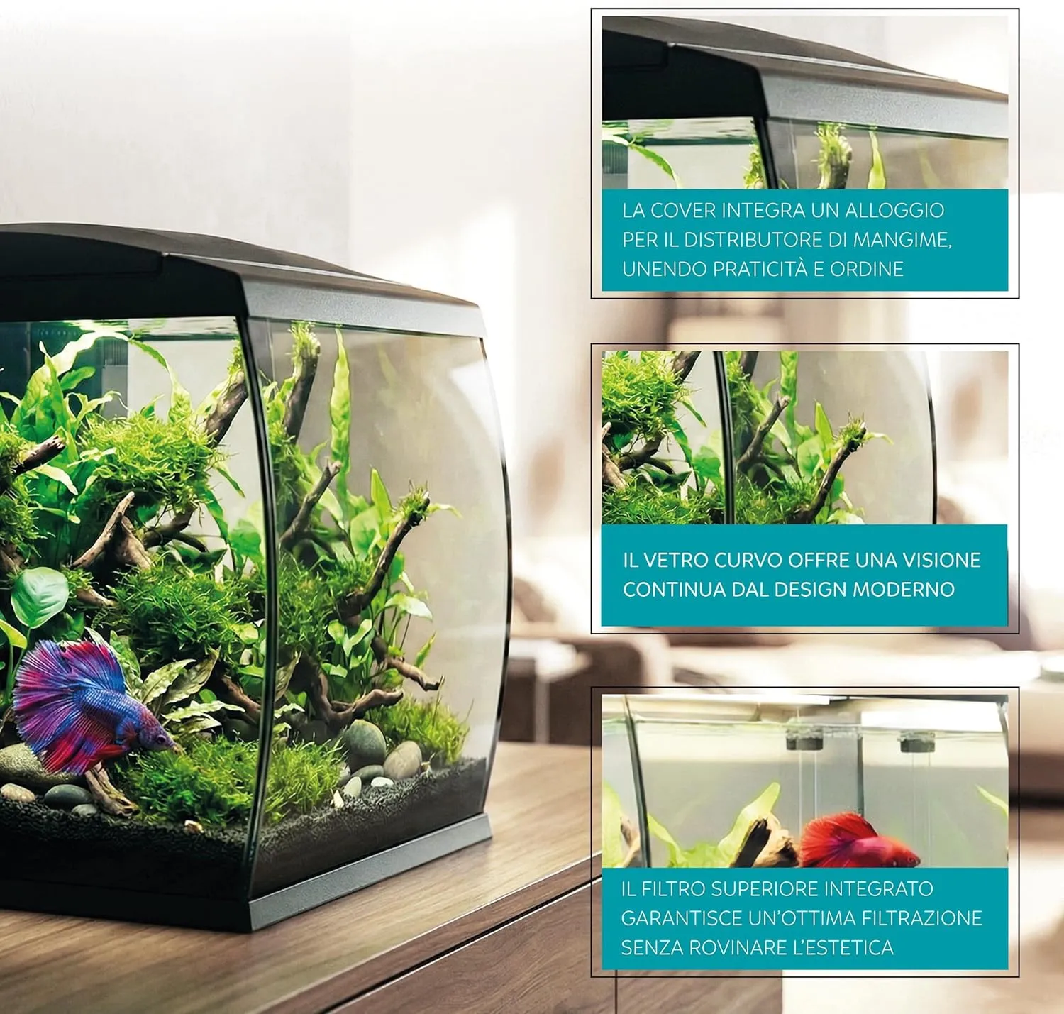 Aqpet CurVe Led 35 lt Nero - Acquario 35 lt - 30.2x33.5x42.5h cm completo di luce e filtro con materiali filtranti
