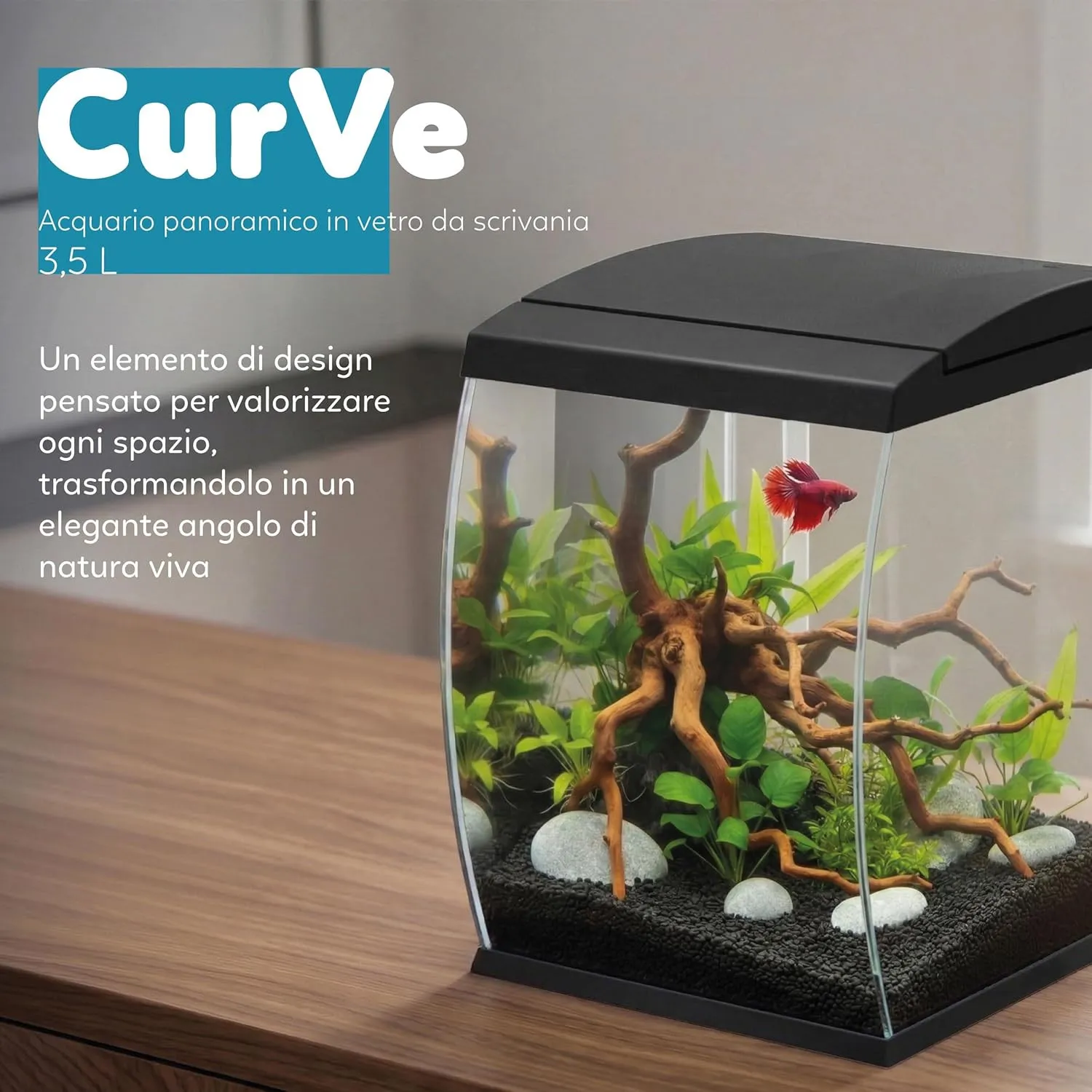 Aqpet CurVe Led 35 lt Nero - Acquario 35 lt - 30.2x33.5x42.5h cm completo di luce e filtro con materiali filtranti