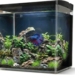 Aqpet Neya Led 5 lt Nero - Mini Acquario da scrivania 5 lt - 20x15x20h cm completo