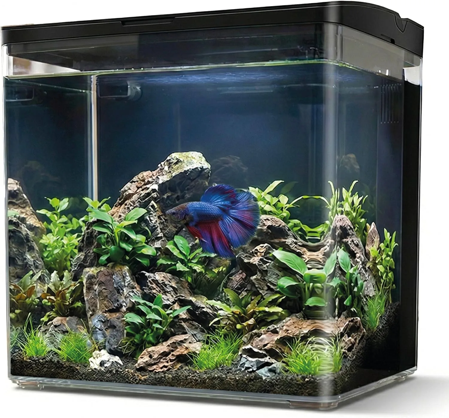 Aqpet Neya Led 5 lt Nero - Mini Acquario da scrivania 5 lt - 20x15x20h cm completo