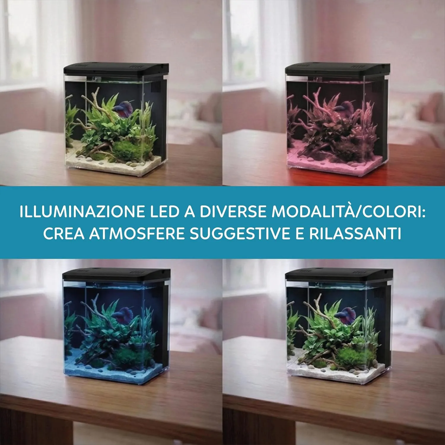 Aqpet Neya Led 5 lt Nero - Mini Acquario da scrivania 5 lt - 20x15x20h cm completo