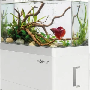 Aqpet Hydo Led 3.5 lt Bianco - Mini Acquario da scrivania 3.5 lt - 18×9,5×21h cm con supporto per smartphone