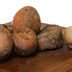 Roccia Uova di Dinosauro al pezzo - circa 8-10 cm - inerte