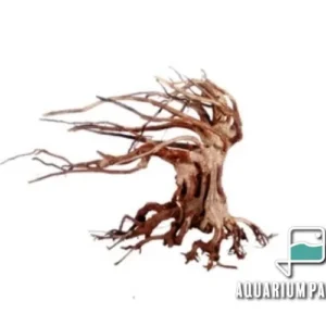Legno Oriental Wind-6 SMALL, radice ornamentale aquascaping - 23X10X17h cm