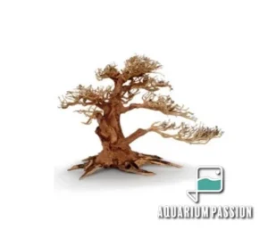 Legno Oriental Wind-4 SMALL, radice ornamentale aquascaping - 23X10X17h cm