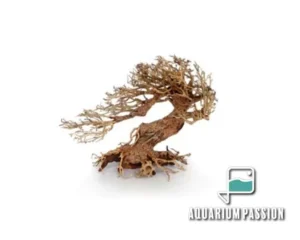 Legno Oriental Wind-3 SMALL, radice ornamentale aquascaping - 23X10X17h cm