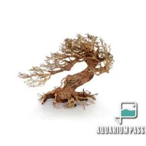 Legno Oriental Wind-3 SMALL, radice ornamentale aquascaping - 23X10X17h cm