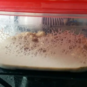 MICROWORMS STARTER COLTURA CIBO VIVO PER PESCI D'ACQUARIO