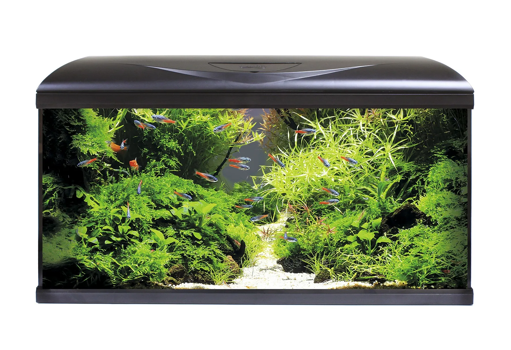 Acquario Completo AMTRA SYSTEM 80 LED Black 80 litri Nero
