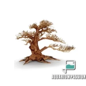 Legno Oriental Wind-4 MEDIUM, radice ornamentale aquascaping - 32X15X24h cm