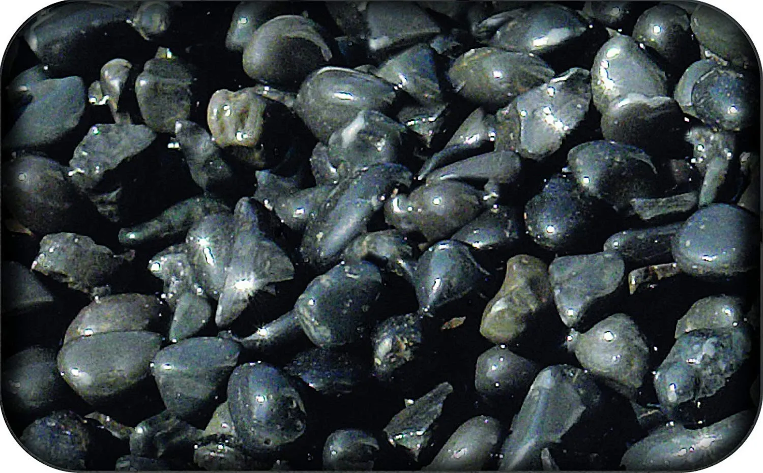 Ghiaia Rio Negro Zen Artist Black M 0,7-0,9 cm, ciottoli neri - 2 kg- fondo inerte per acquario