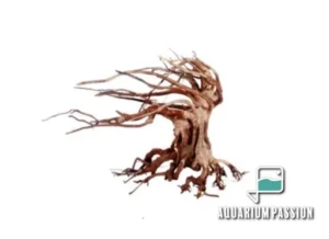 Legno Oriental Wind-6 MEDIUM, radice ornamentale aquascaping - 32X15X24h cm