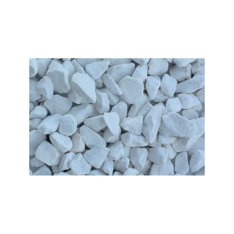 Korallen Zucht Aragonite Reactor - 1 Kg - Aragonite pura per reattori di Calcio