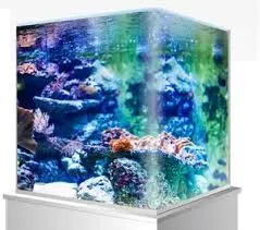 Nano reef 60 litri completo di tecnica: skimmer, filtro a zainetto, pompe di movimento e plafoniera led AI Pime 16 hd reef 59 w