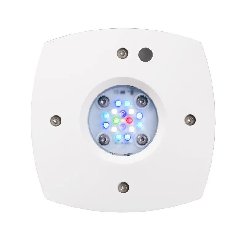 Nano reef 60 litri completo di tecnica: skimmer, filtro a zainetto, pompe di movimento e plafoniera led AI Pime 16 hd reef 59 w