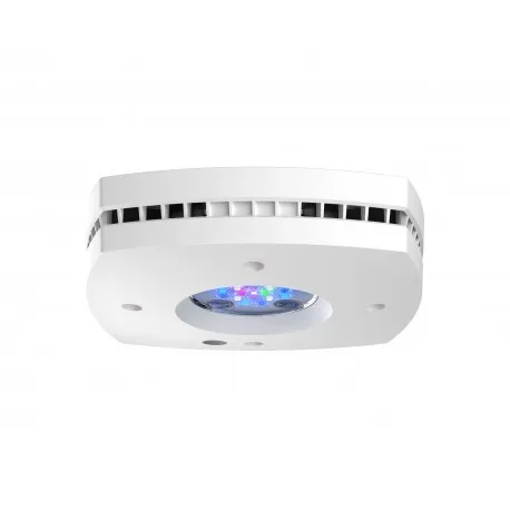 Nano reef 60 litri completo di tecnica: skimmer, filtro a zainetto, pompe di movimento e plafoniera led AI Pime 16 hd reef 59 w