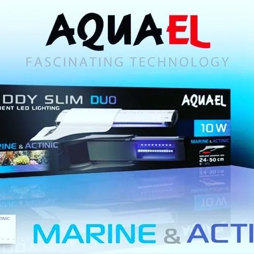 Nano reef 90 litri completo di tecnica: skimmer, filtro a zainetto, pompe di movimento e Amtra Plafoniera Vega Led Reef