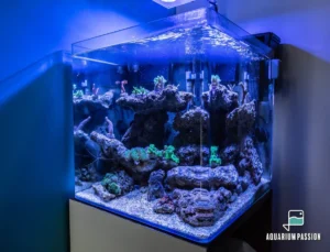 Nano reef 90 litri completo di tecnica: skimmer, filtro a zainetto, pompe di movimento e Amtra Plafoniera Vega Led Reef