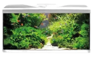 Acquario Completo AMTRA SYSTEM 80 LED WHITE  80 litri Bianco