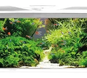 Acquario Completo AMTRA SYSTEM 80 LED WHITE  80 litri Bianco