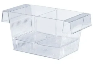 Amtra Breeding Box 3 in 1 - Sala parto con coperchio 20x9,5x10 cm