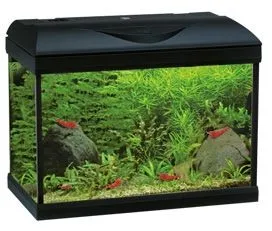 Acquario Amtra Riviera 40 led Coldwater black - 22 litri - nero