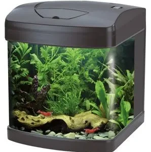 Amtra Xcube 26 Led - black Acquario completo 26 litri Nero - 31x32x37 cm