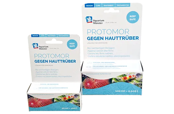 Aquarium Munster Protomor 100 ml - contro infezioni da protozoi - REEF-SAFE