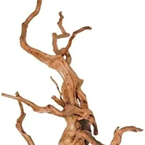 LEGNO Decor Spider Wood XXL grande 50-70 cm - DriftWood, radice ornamentale