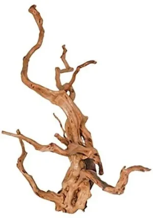 LEGNO Decor Spider Wood XXL grande 50-70 cm - DriftWood, radice ornamentale