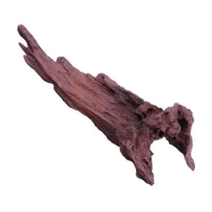 LEGNO Jati Mangrovia L grande 35-50 cm, radice ornamentale