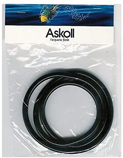 Askoll Guarnizione Pratiko 100/200 - ricambio per filtro esterno 3.0 Super Silent, old e new generation - cod. 922705