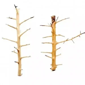 LEGNO Decor Long Hands Wood Small 20-30 cm, radice ornamentale longilinea