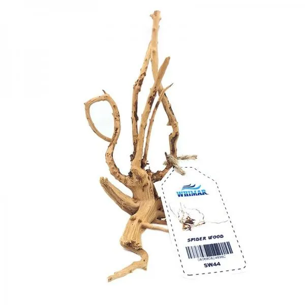 LEGNO Decor Spider Wood M - Medium 20-30 cm, radice ornamentale finemente ramificata