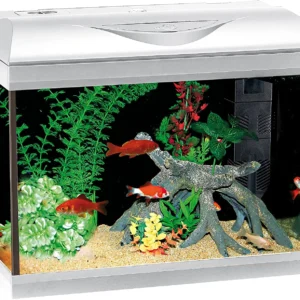 Acquario Amtra Riviera 40 led Coldwater white 22 litri bianco