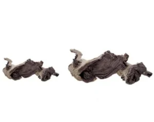 Radice mopani bicolor S piccola, circa 15-25 cm, legno
