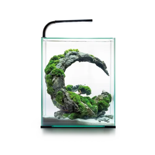 Aquael SHRIMP SET SMART Day&Night 20 White - caridinaio completo 25x25x30h cm Bianco