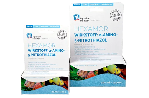 Aquarium Munster Hexamor 100 ml - contro flagellati e malattia del buco
