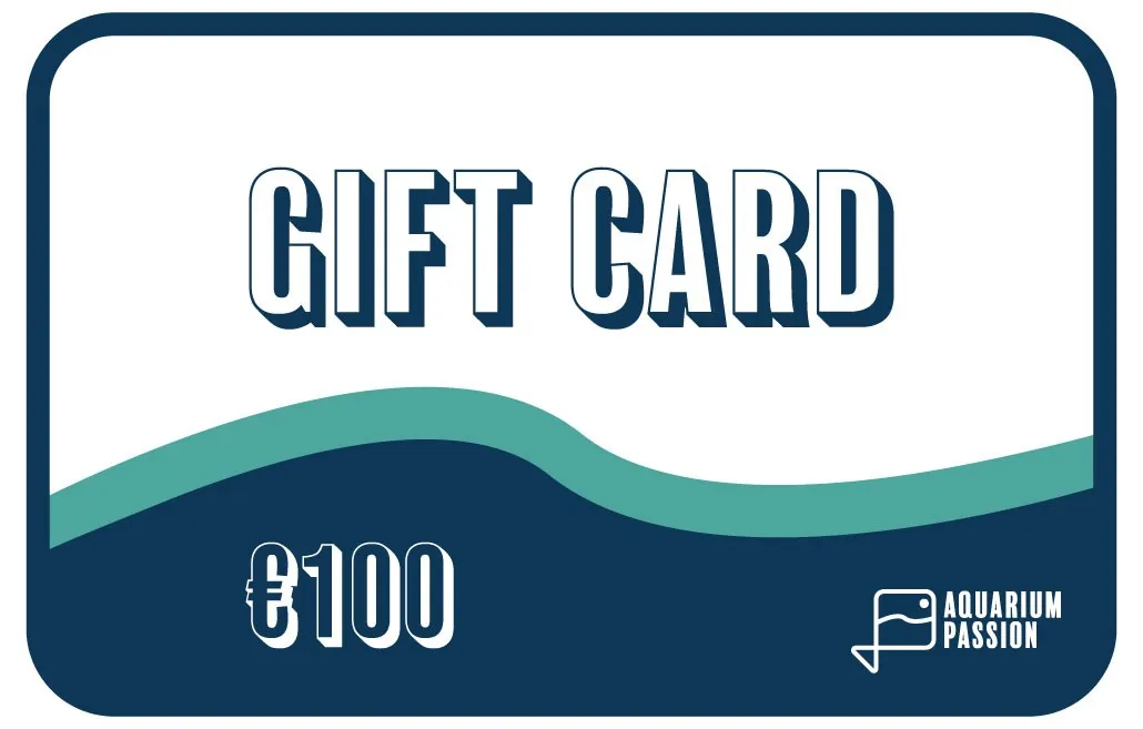 Gift Card - 100 euro - Carta regalo