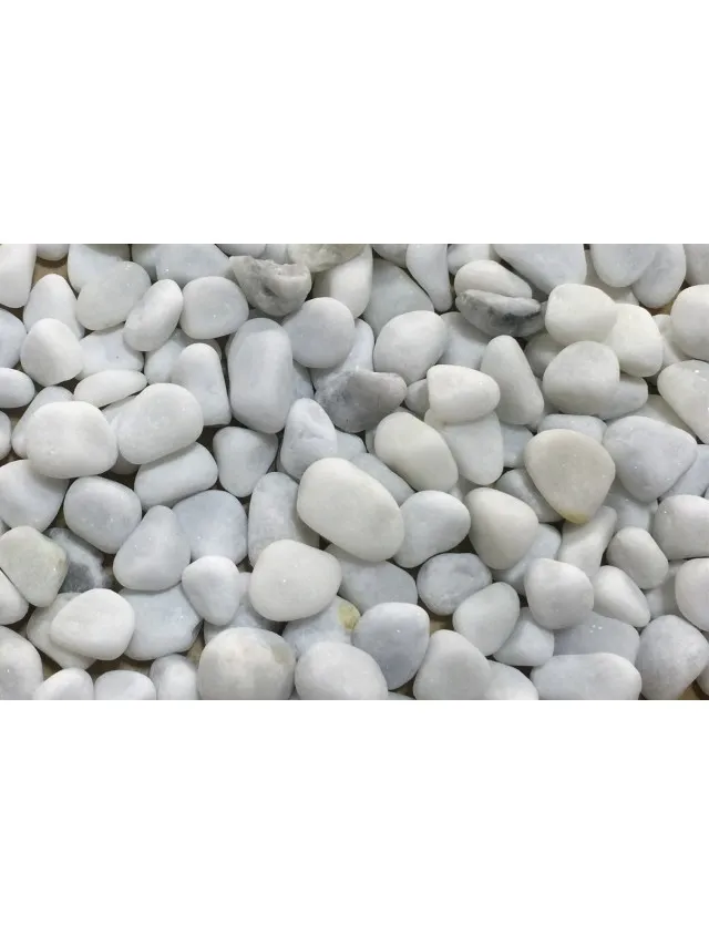 Ghiaia Bianca 8-12 mm, ciottoli bianchi - 5 kg- fondo inerte per acquario - OceanMax