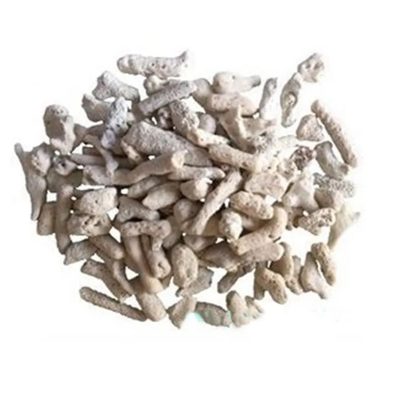 Sabbia Corallina Aragonite Jumbo 2-4 cm - 2 kg da lavare