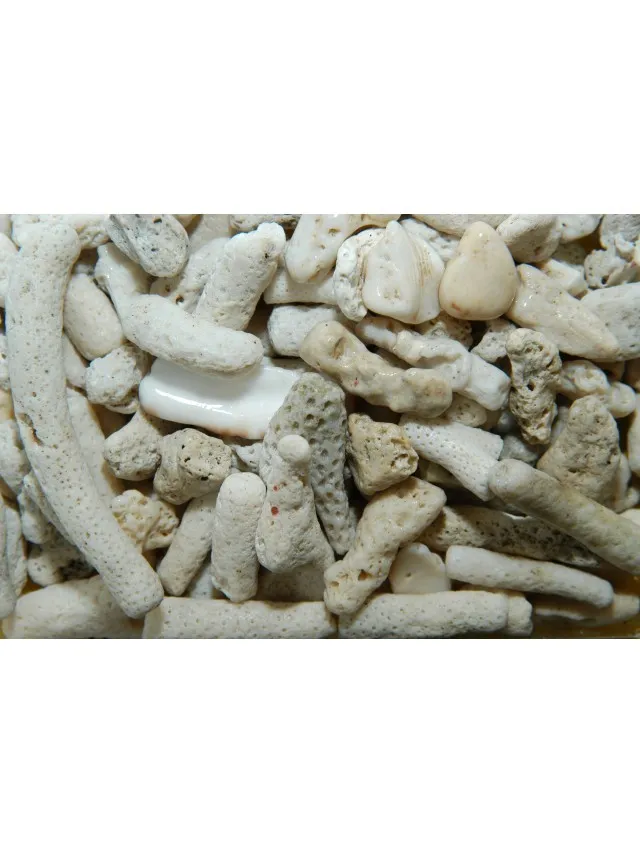Sabbia Corallina Aragonite Jumbo 2-4 cm - 2 kg da lavare