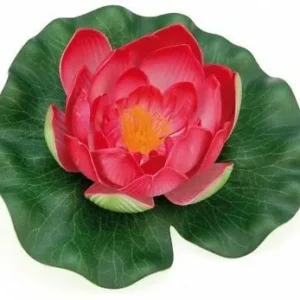 Pontec PondoLily red - fiore di Ninfea galleggiante per acquario o laghetto - Nymphaea