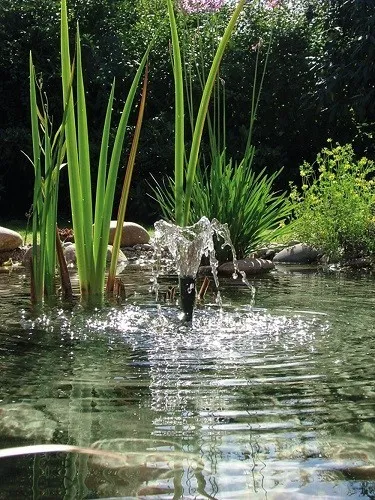 Pontec PondoVario 750 - Pompa per giochi d’acqua per laghetto