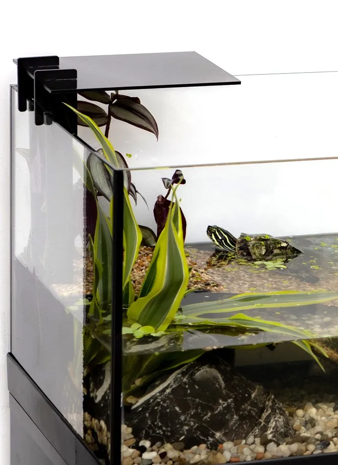 Aquael AcquaTerrarium 80 tartarughiera in vetro con isola filtro e pompa 80x35x30,5 h cm