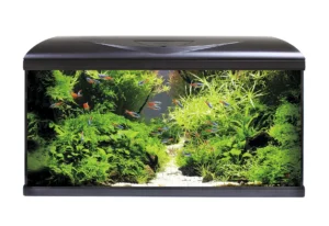 Acquario AMTRA SYSTEM Tank V2 80 LED Black 80 litri Nero