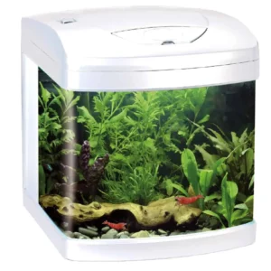 Amtra Xcube 26 Led - White Acquario completo 26 litri Bianco - 31x32x37 cm