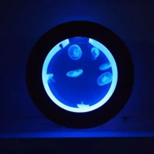 Jellyfish Aquarium Cherry O16 Nero - Medusario - Acquario circolare per meduse 16 lt - Black