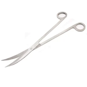 Forbici curve professionali a punta in acciaio inox per potature 25 cm aquascaping