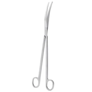 Forbici curve professionali punte arrotondate in acciaio inox per potature 25,5 cm aquascaping